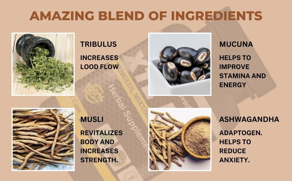 xtl plus contains safed musli, ashwagandha and tribulus for their amazing properties.