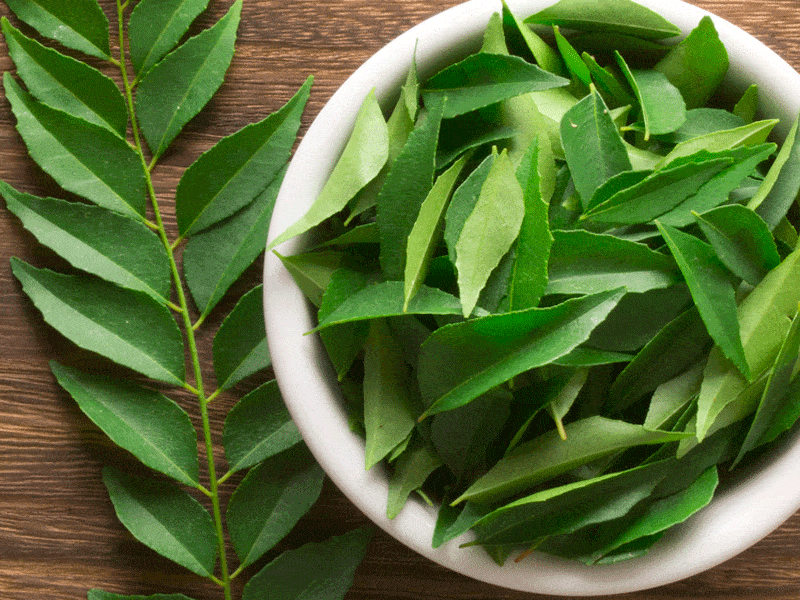 curry leaves: ayurvedic home remedy for diabetes